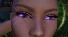 Eyes