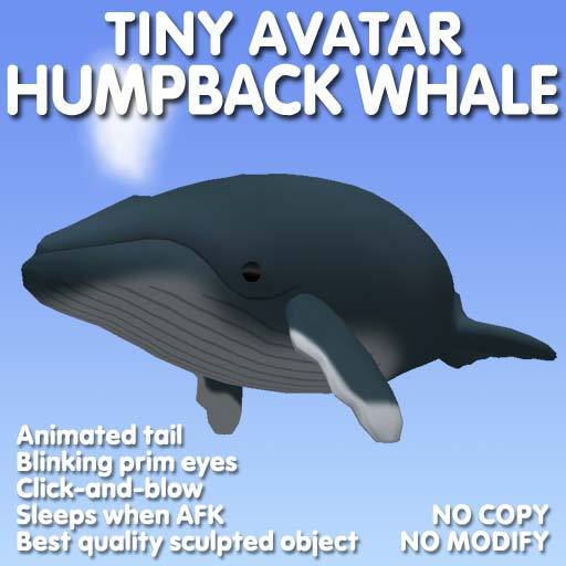 Tiny Humpback Whale Avatar