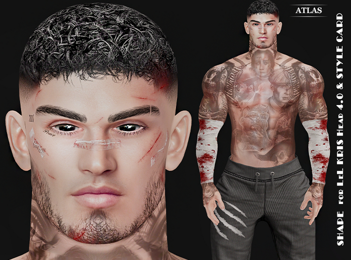 *ATLAS* SHAPE RENATO for LeL KRIS Head 4.0 & STYLE CARD
