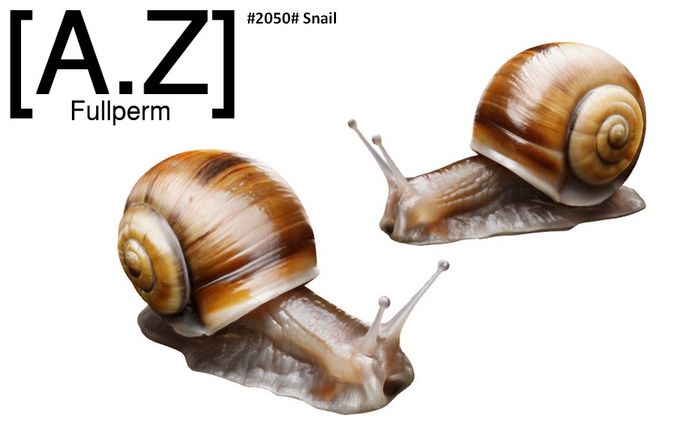 #2050# Snail #
