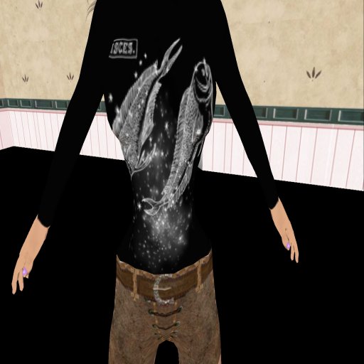 pisces shirt
