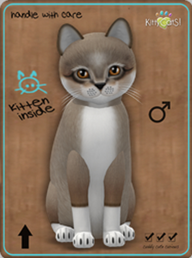 KittyCatS Box - Foxie - Cocoa Cream