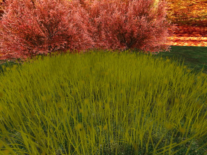 Grass 4 - Autumn