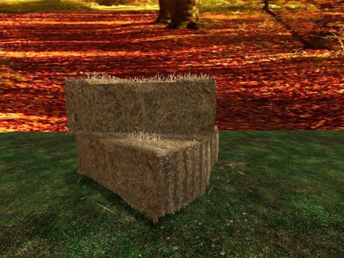 Hay Bale 2