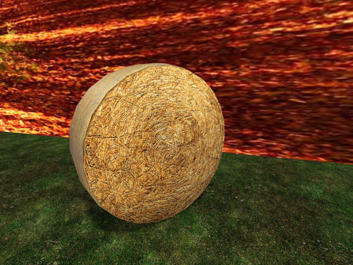Round Straw Bale