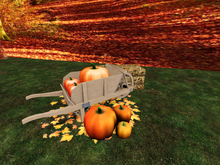  Cart with Pumpkin 1