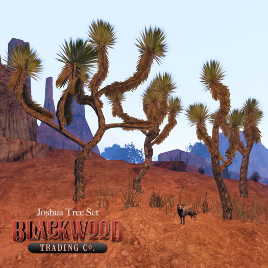 [Blackwood Traders] Joshua Tree Set