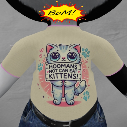 .::KS::.dinkie-tshirt-hoomans-kittens-bom