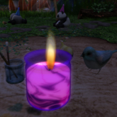Candle