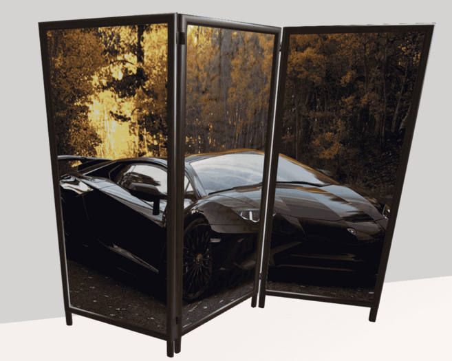 Room Divider Lamborghini