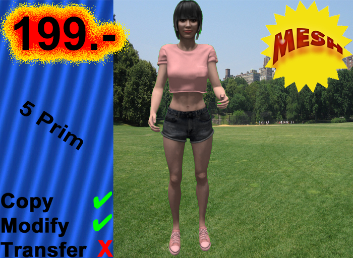004255 copy,modify