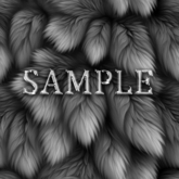 Zoy Texture [ Soft Embrace Fur Seamless 01 ] B