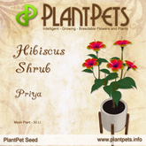 PlantPet Seed [Hibiscus Shrub *Priya*]