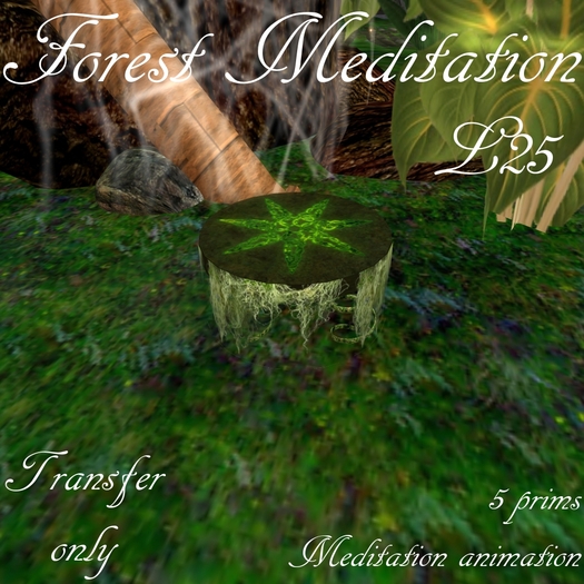 Forest Meditation