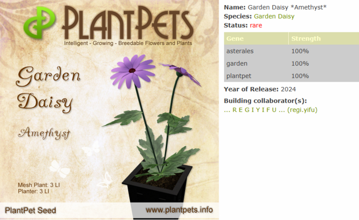 PlantPet Seed [Garden Daisy *Amethyst*]