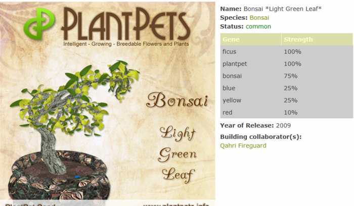 PlantPet Seed [Bonsai *Light Green Leaf*]