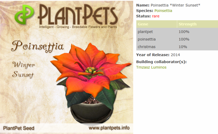 PlantPet Seed [Poinsettia *Winter Sunset*]