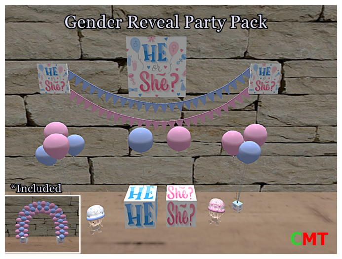 Gender Reveal Party Pack
