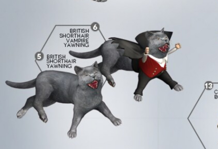 Second Life Marketplace - [Rezz Room] Box British Shorthair Yawning