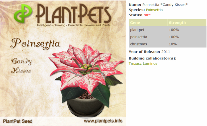 PlantPet Seed [Poinsettia *Candy Kisses*]
