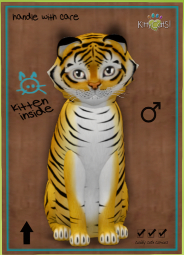 KittyCatS Box - Tiger! - Golden Ticket