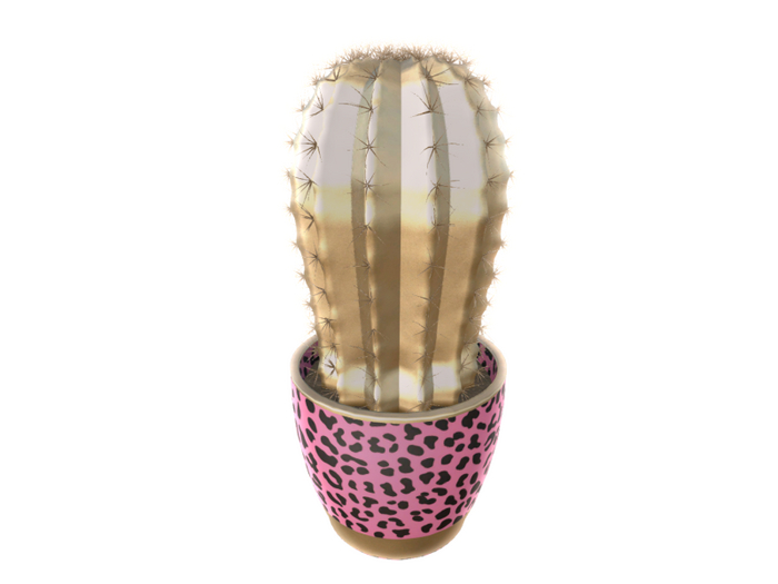 [Kres] Almost Famous - Cactus - Pink