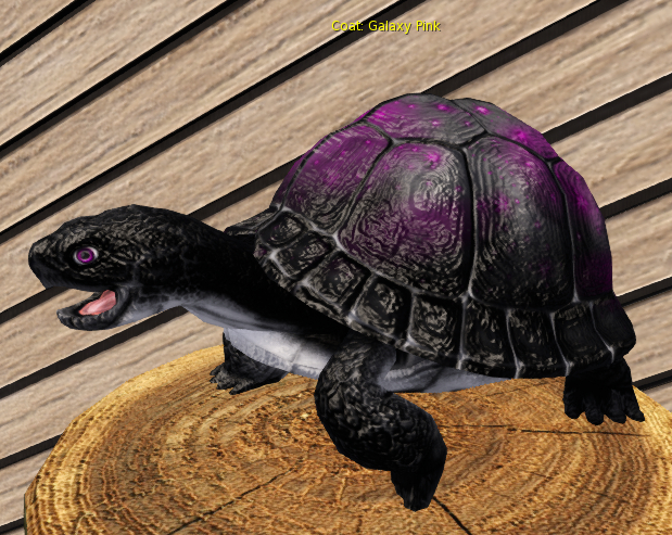 Foxtrot Box Turtle Galaxy Pink breeadable, large female egg