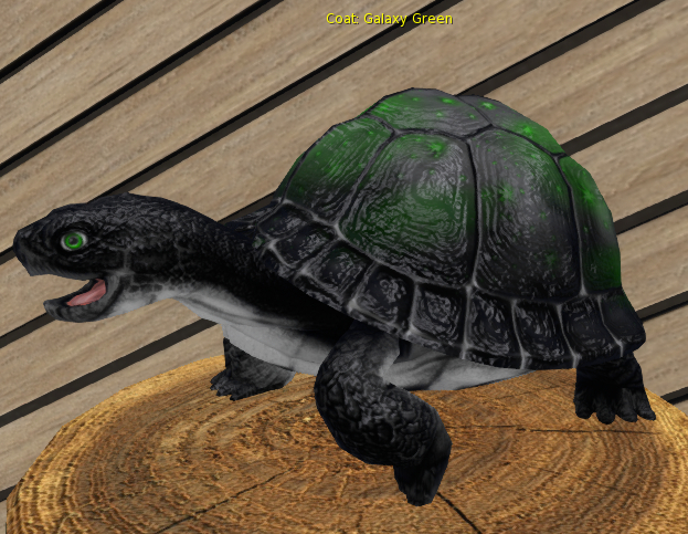 Foxtrot Box Turtle Female Galaxy Green large breedable egg