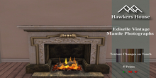 *HH* Bianchi Renaissance Fireplace