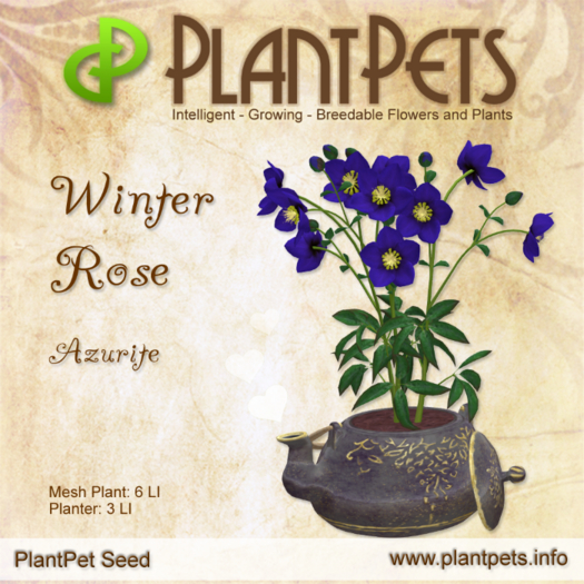 PlantPet Seed [Winter Rose *Azurite*]