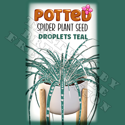 Potted: Spider Plant Seed: Droplets Teal