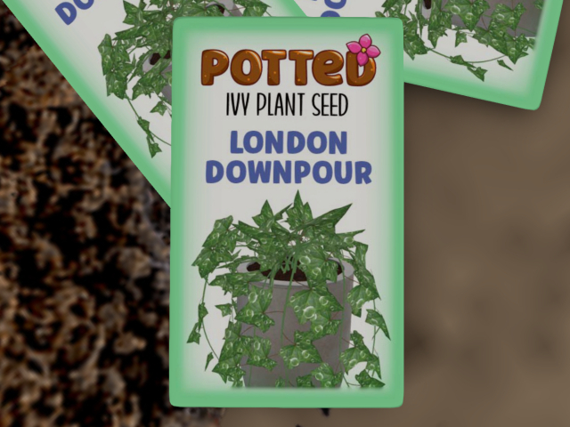 Potted: Ivy Plant Seed: London Downpour 2