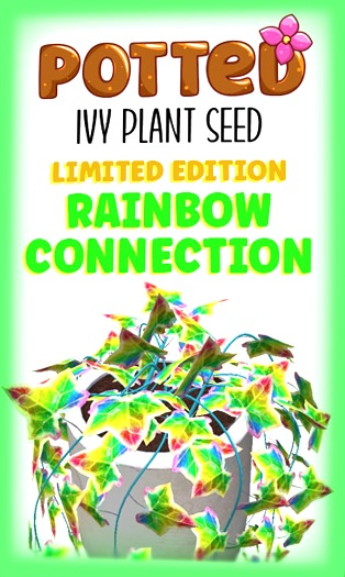 Potted: Ivy Plant Seed: LE Rainbow Connection