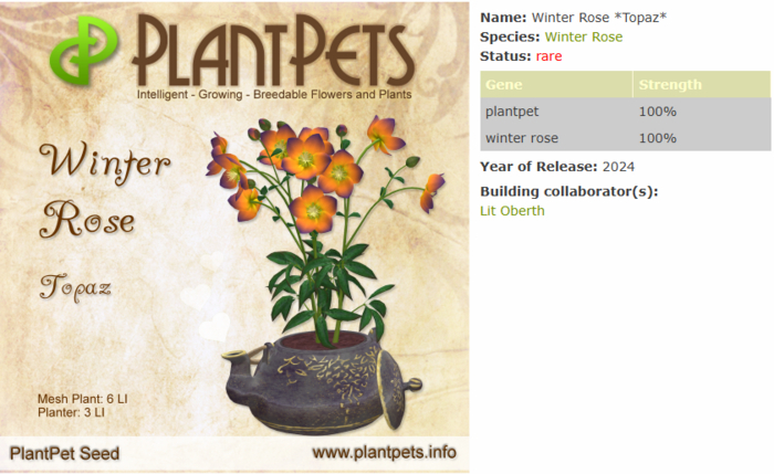 PlantPet Seed [Winter Rose *Topaz*]