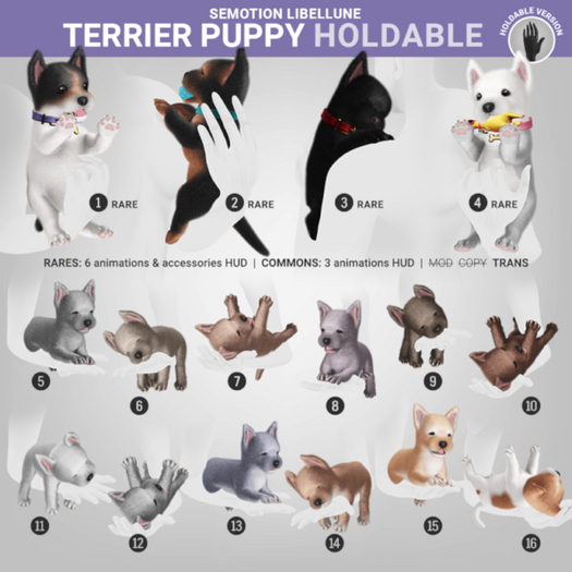 SEmotion Libellune Terrier Puppy Holdable Rares Set /4 items