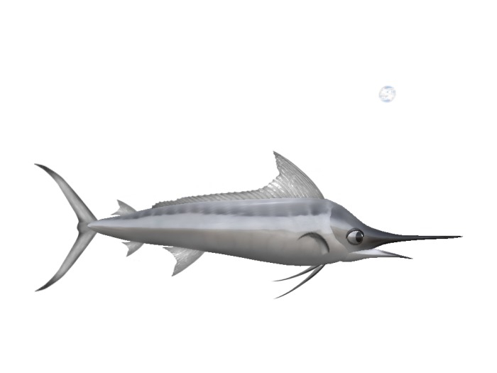(7S) Uncommon Fish: Silver Marlin