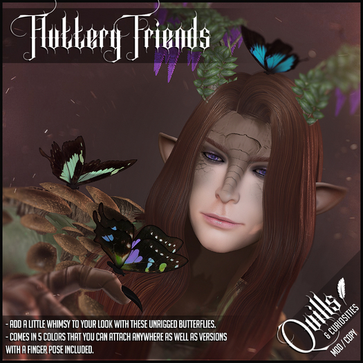 Quills & Curiosities - Fluttery Friends