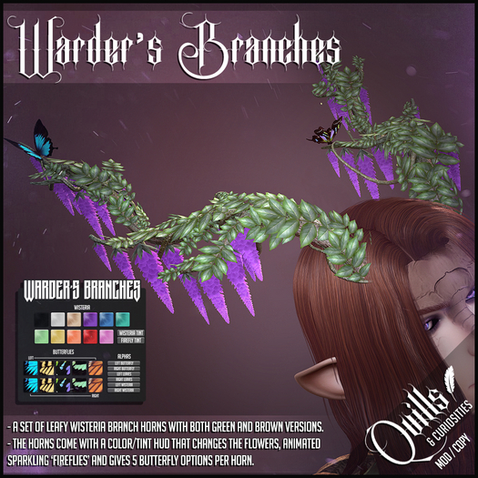 Quills & Curiosities - Warder's Branches
