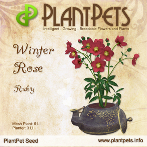 PlantPet Seed [Winter Rose *Ruby*]