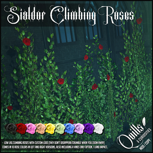 Quills & Curiosities - Sialdor Climbing Roses