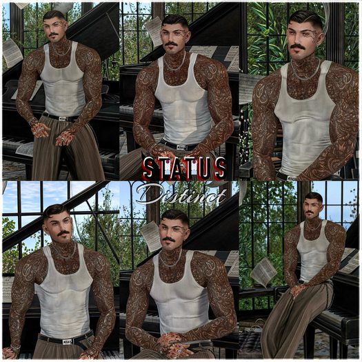 STATUS ~ Distinct Posepack