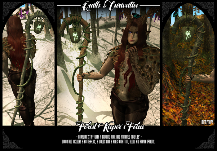 Quills & Curiosities - Forest Keeper's Focus