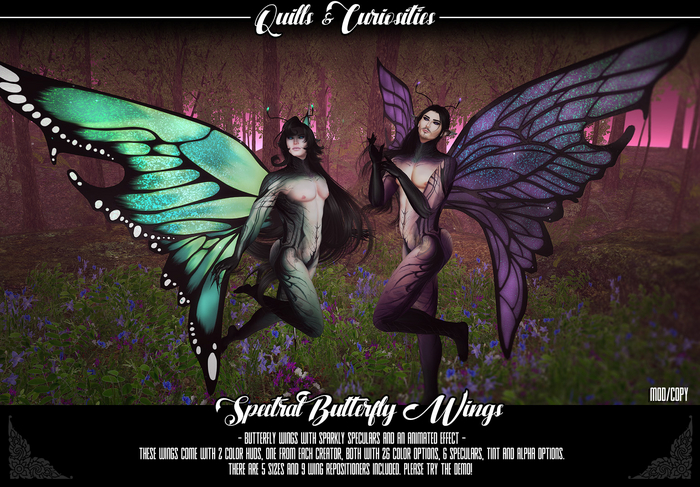 Quills & Curiosities - Spectral Butterfly Wings