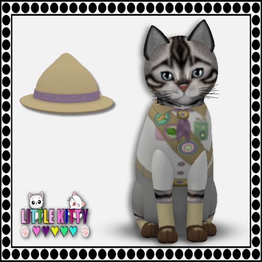 KittyCatS Box - KittyScoutS! - Posh Scout M