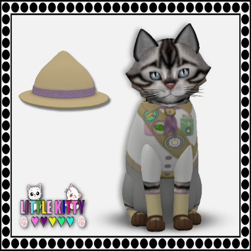 KittyCatS Box - KittyScoutS! - Posh Scout F