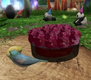 Roses