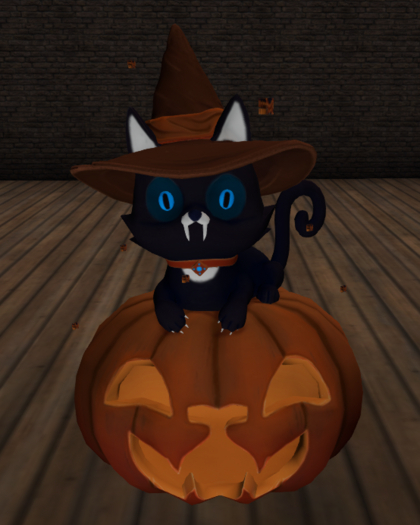 cat_with_lights