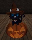 cat_with_lights
