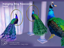 ati: Hanging Ring Peacock: includes 2 colors 