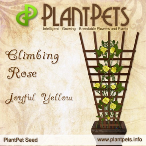 PlantPet Seed [Climbing Rose *Joyful Yellow*]